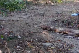 0 N Franklin St, Franklin Township, PA 16052 - Photo 8