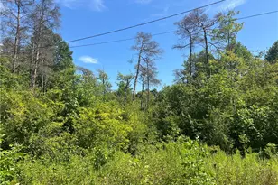 0 N Franklin St, Franklin Township, PA 16052 - Photo 2