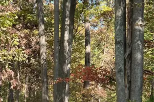 0 N Franklin St, Franklin Township, PA 16052 - Photo 14