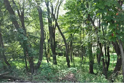 614 Orchard Hill Dr, Pittsburgh, PA 15238 - Photo 2