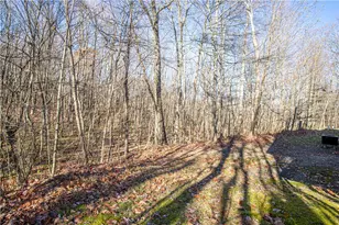 505 Greenbriar Rd, Stewart Twp, PA 15431 - Photo 42