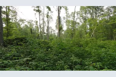 --- Pink Rd, Slippery Rock, PA 16057 - Photo 4