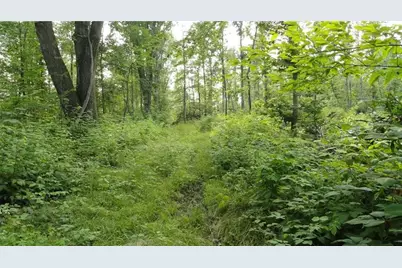 --- Pink Rd, Slippery Rock, PA 16057 - Photo 6