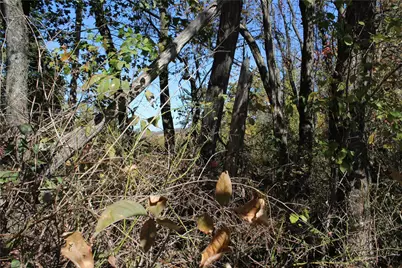 800 Block Eldersville Rd, Jefferson, PA 15021 - Photo 6