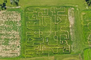 206 Lee Rd, Springfield Township, PA 16127 - Photo 36