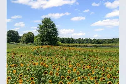 206 Lee Road, Springfield Township, PA 16127 - Photo 40