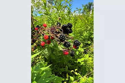 0 Matson Road, Ligonier Township, PA 15658 - Photo 36