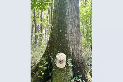 0 Matson Road, Ligonier Township, PA 15658 - Photo 34