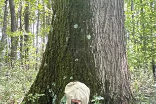 0 Matson Rd, Ligonier Township, PA 15658 - Photo 34