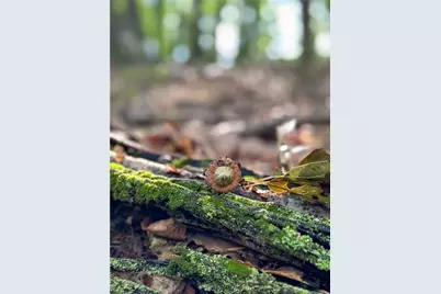 0 Matson Road, Ligonier Township, PA 15658 - Photo 28