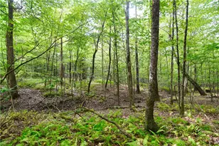 456 Preacher Hill Rd, Other, PA 16341 - Photo 10