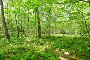 456 Preacher Hill Rd, Other, PA 16341 - Photo 12