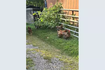 1496 Methodist Rd, Salem Township, PA 16125 - Photo 10