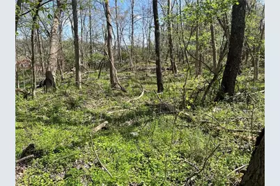 0 McBurney Road, Chartiers, PA 15342 - Photo 4