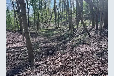 0 McBurney Road, Chartiers, PA 15342 - Photo 1