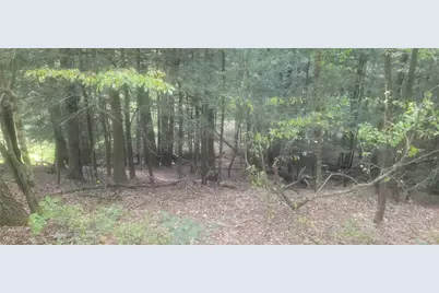 000 Lairds Crossing Rd, West Franklin, PA 16262 - Photo 6