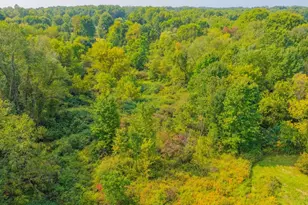 828 Brownhome Rd, Scott Township, PA 16101 - Photo 44