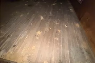 558 Whispering Pines Rd, Shade Township, PA 15924 - Photo 34