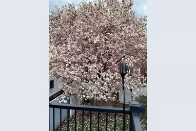 164 45th Street, Pittsburgh, PA 15201 - Photo 46