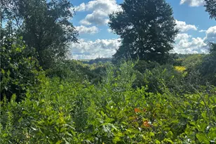 0 Steel St, Redstone Township, PA 15442 - Photo 1