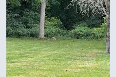 1810 Tony St, Shenango Township, PA 16101 - Photo 24