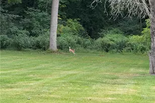 1810 Tony St, Shenango Township, PA 16101 - Photo 24