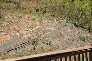 258 Spring Run Rd, Moon/Crescent Twp, PA 15046 - Photo 10