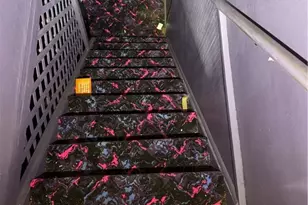 531 Burton Dr, Pittsburgh, PA 15235 - Photo 14