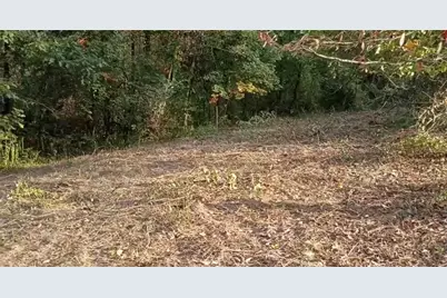 51 McMichael Rd, Carnegie, PA 15106 - Photo 16