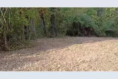 51 McMichael Rd, Carnegie, PA 15106 - Photo 12