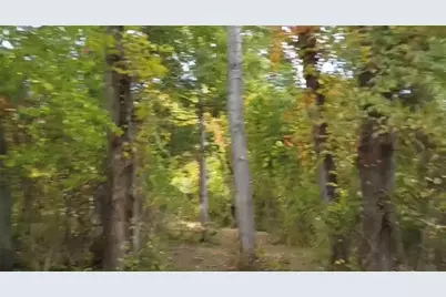 51 McMichael Rd, Carnegie, PA 15106 - Photo 10