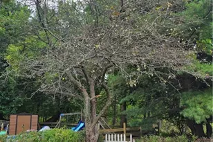 5528 Zieger Ave, Verona, PA 15147 - Photo 42