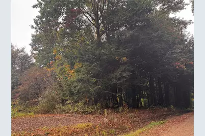 Lot 1 Dobbs Rd, Athens, PA 16438 - Photo 8