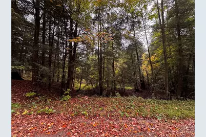 Lot 1 Dobbs Rd, Athens, PA 16438 - Photo 6