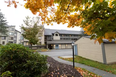 D41Ab Stoneridge Drive, Seven Springs, PA 15622 - Photo 1