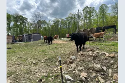 135 Sandy Flat Rd, Springfield Township, PA 15425 - Photo 26