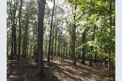 00 Harrold St (Parcel B), Hempfield Township, PA 15644 - Photo 8