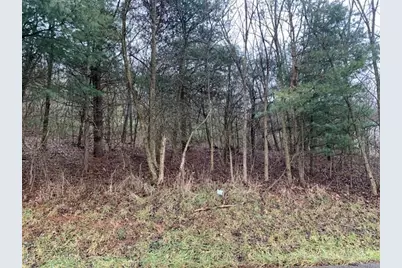 Lot 5 Ringertown Road, Murrysville, PA 15632 - Photo 1