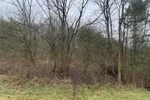 Lot 6 Ringertown Rd, Murrysville, PA 15632 - Photo 1