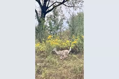 573 Chesnic Drive, North Strabane, PA 15317 - Photo 48