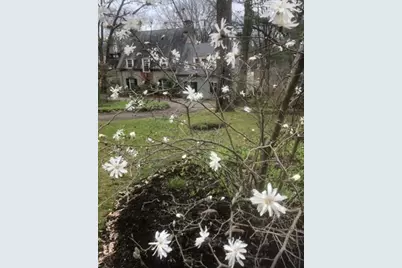 700 W Waldheim Road, Pittsburgh, PA 15215 - Photo 44