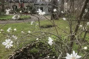 700 W Waldheim Rd, Pittsburgh, PA 15215 - Photo 44