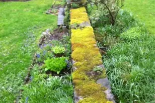 700 W Waldheim Rd, Pittsburgh, PA 15215 - Photo 48