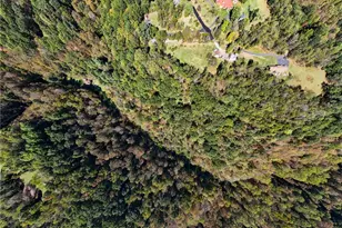 824 Magnus Ln, North Huntingdon, PA 15642 - Photo 40