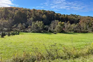 Lot 1 Shag Bark Grove / Mamont Rd, Murrysville, PA 15668 - Photo 4