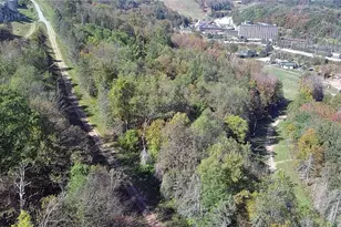 1 Sunridge Dr, Seven Springs, PA 15622 - Photo 14