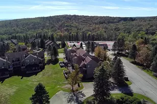 1 Sunridge Dr, Seven Springs, PA 15622 - Photo 42