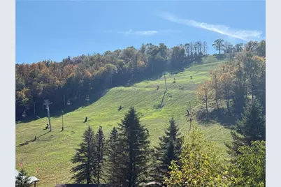 1 Sunridge Drive #H1, Seven Springs, PA 15622 - Photo 48