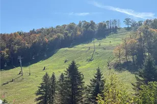 1 Sunridge Dr, Seven Springs, PA 15622 - Photo 48