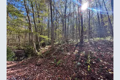 Lot 1 Neals Run Road, Saltlick Township, PA 15622 - Photo 6